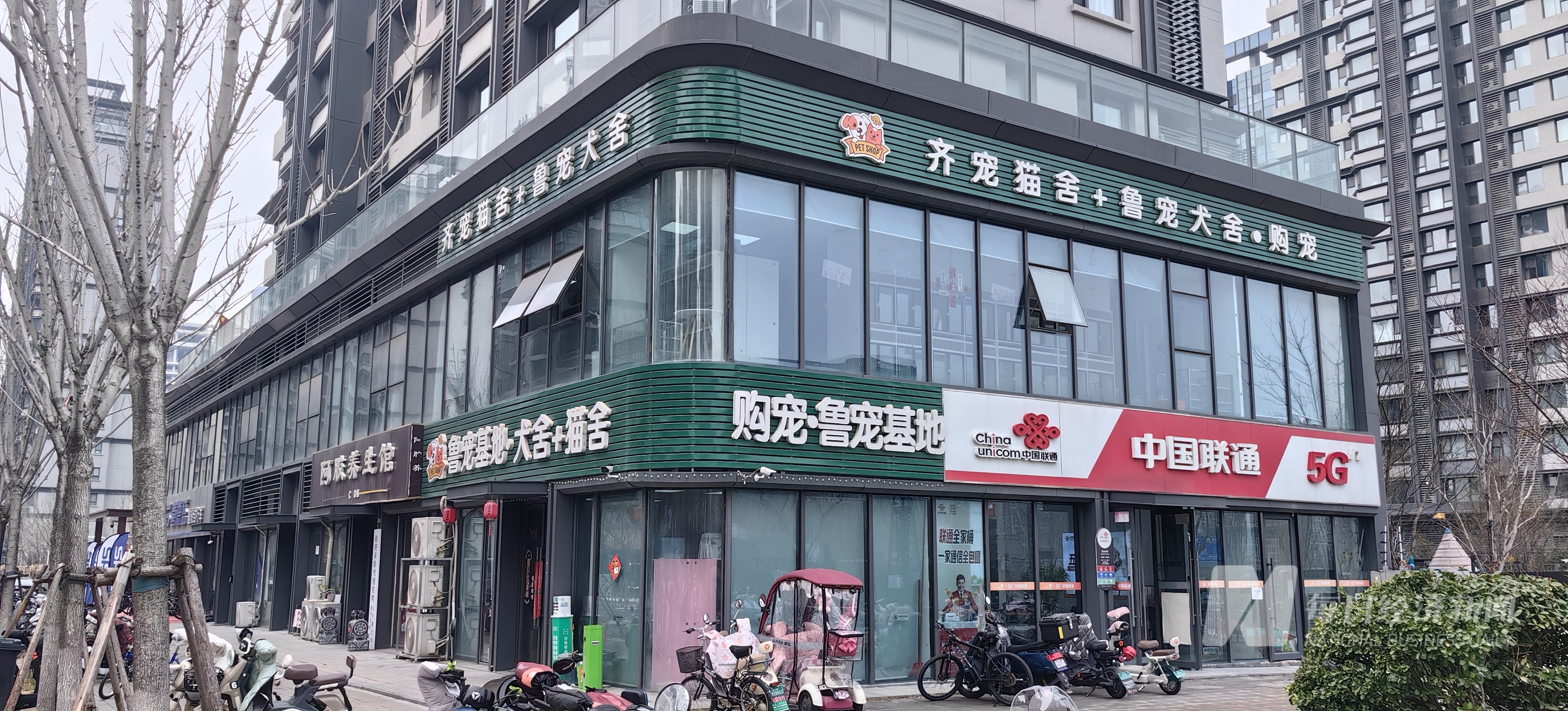 加中药宠物从“吃饱”转型“吃好” 国产品牌崛起驱动万亿元市场MG不朽情缘正版“2
