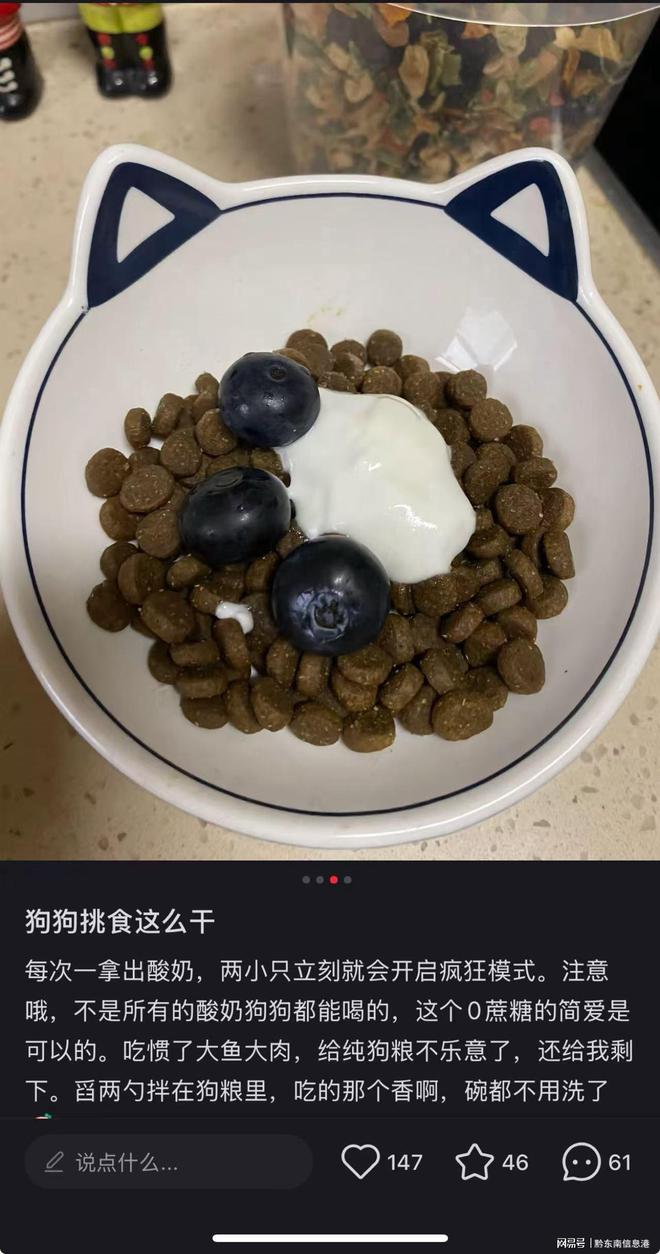 配方”撬动萌宠经济与母婴信任双赛道不朽情缘平台网站简爱酸奶以“纯净(图3)