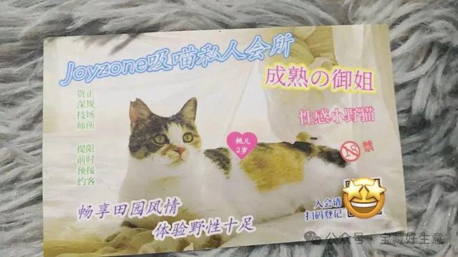 个新消费品从业者的五年创业思考不朽情缘平台登录网页深度 一(图11)