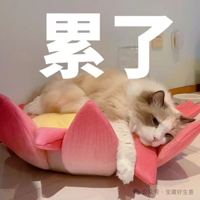 个新消费品从业者的五年创业思考不朽情缘平台登录网页深度 一(图10)