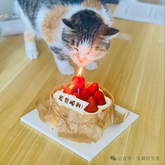 个新消费品从业者的五年创业思考不朽情缘平台登录网页深度 一(图13)